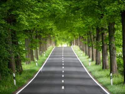 sustainability-future