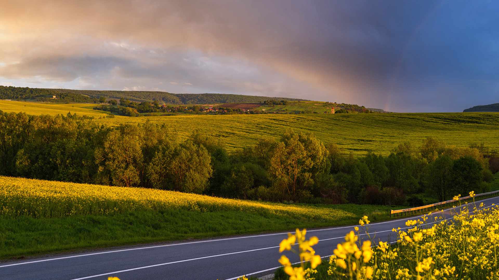 green-rainbow-sustainability