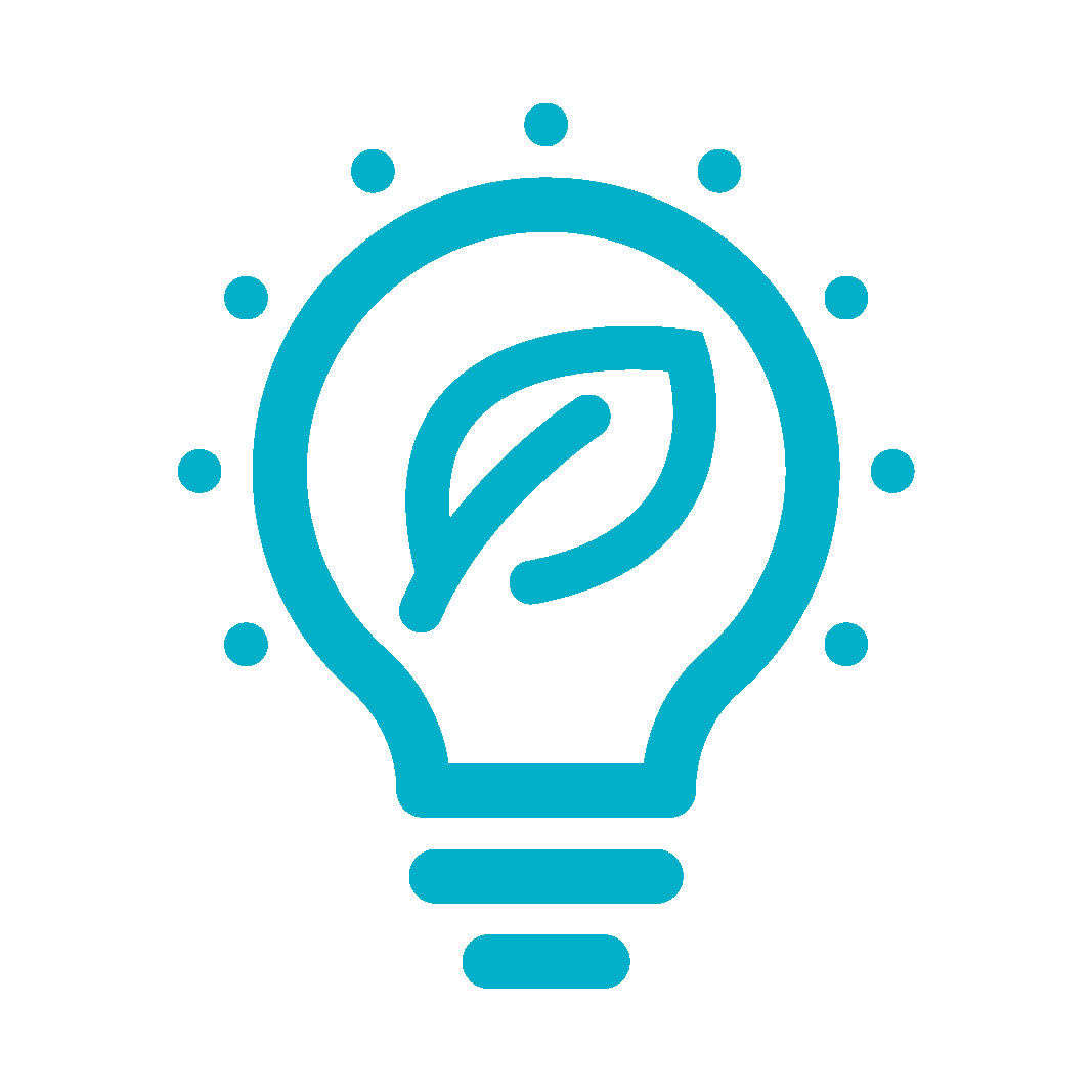 environment_256-25_1